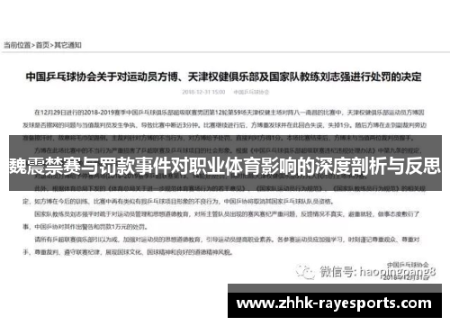 魏震禁赛与罚款事件对职业体育影响的深度剖析与反思