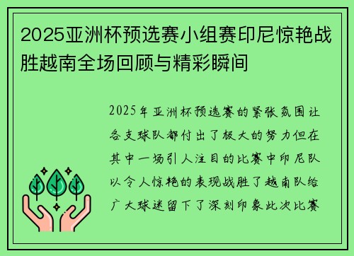 2025亚洲杯预选赛小组赛印尼惊艳战胜越南全场回顾与精彩瞬间